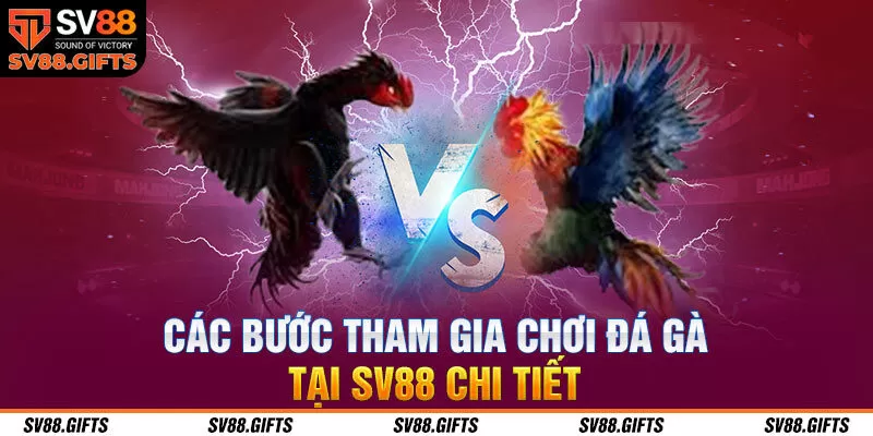 &nbsp;C&aacute;c bước tham gia chơi đ&aacute; g&agrave; tại SV88 chi tiết
