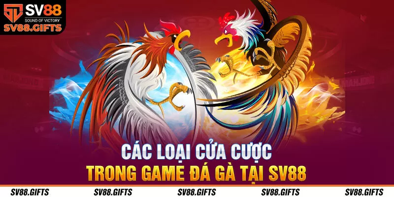 C&aacute;c loại cửa cược trong game đ&aacute; g&agrave; tại SV88