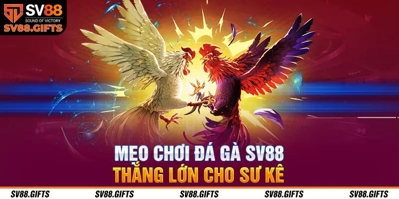 Kh&aacute;m Ph&aacute; Đ&aacute; G&agrave; SV88 &ndash; B&iacute; Quyết V&agrave; Chiến Lược Thắng Lớn